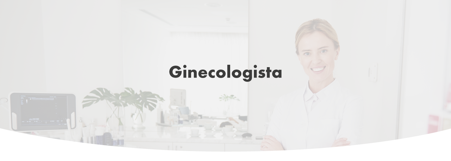 Banner Web